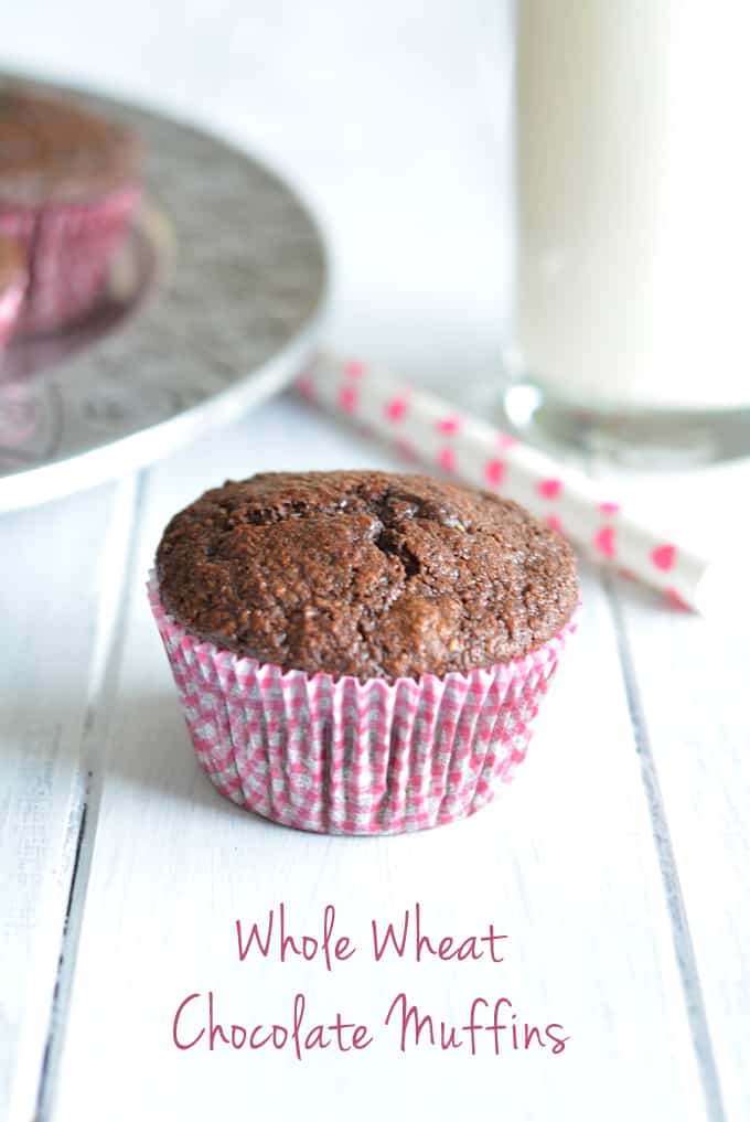 Chocolate Muffins