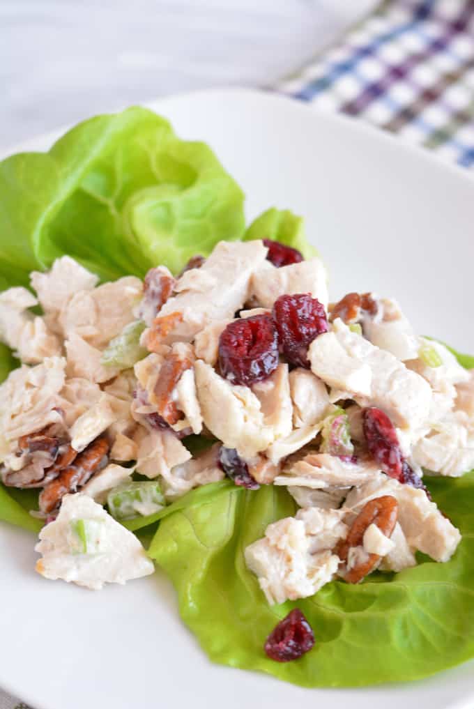 Cranberry Pecan Chicken Salad - Nourished Simply