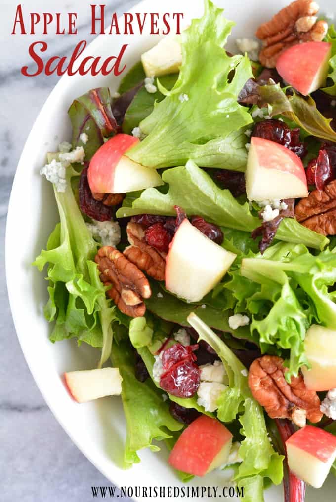 Falling leave and cool crisp air are signs of Fall. Apple harvest salad with apple dijon vinaigrette combine's some of the most delicious flavors of the Fall season. #salad #fall #thanksgiving #christmas #lunch