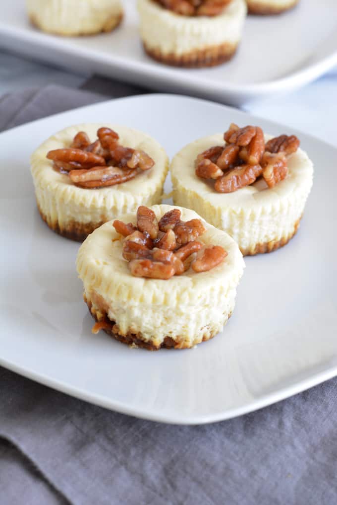 Mini Lower Sugar Cheesecakes are topped with candied pecans and complete with a gingersnap crust. Made with low sugar yogurt and stevia. Perfect for your holiday dessert.