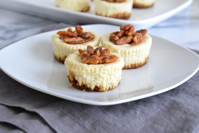 Mini Lower Sugar Cheesecakes are topped with candied pecans and complete with a gingersnap crust. Made with low sugar yogurt and stevia. Perfect for your holiday dessert.
