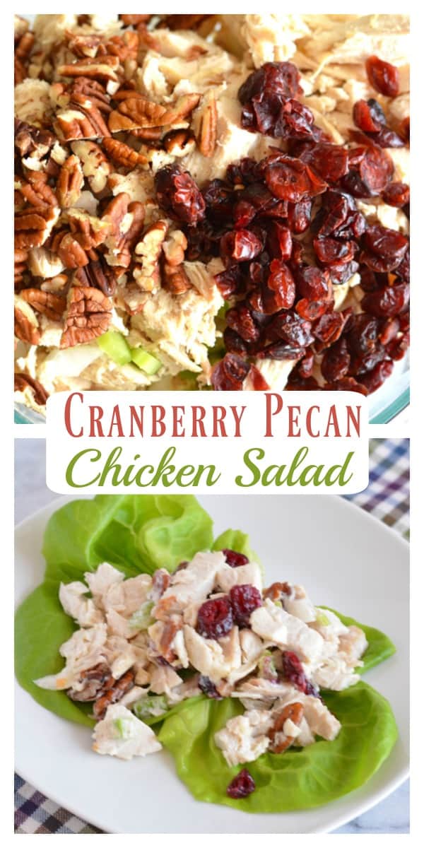 Cranberry Pecan Chicken Salad  Nourished Simply